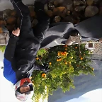 naranjos