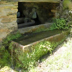 DSCN5781