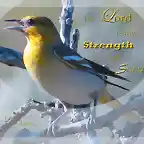 strength_and_song