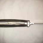 BLV SV1_2