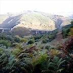 DSCN8483