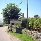 DSCN7598