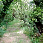DSCN4343