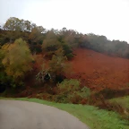 DSCN2704