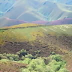 48-IMG_6429