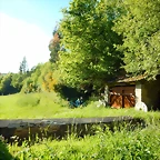DSCN2422