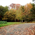 DSCN1311