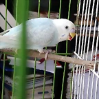 IMG-20190317-WA0007
