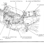 RD04