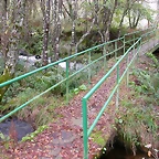 DSCN5785