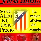 forza atleti