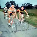 OCAA-MERCKX-ADORNI-1970.