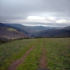 DSCN0881