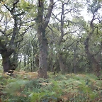 DSCN9410
