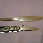 Bowie convexo2