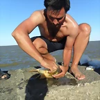 SAM_1517
