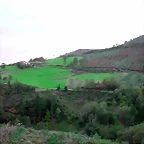 DSCN6320