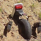 Rodo en moto