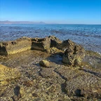 IMG_20201031_104731atce