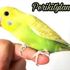 FB_IMG_1499844784126