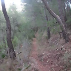 sendas olocau 029