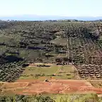 loma del pino desde la atalaya, marca