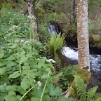 DSCN9335
