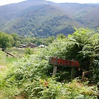 DSCN2146