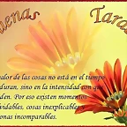 buenas-tardes2