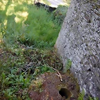 DSCN2437
