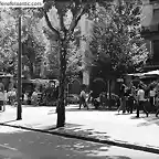 Barcelona Rambla de las Flores 1970 800