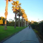 DSCN9253