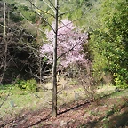 SAM_0456
