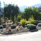 SAM_0459