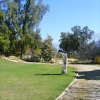 SAM_0460