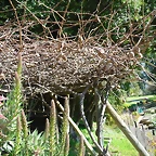 SAM_0469
