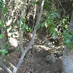 SAM_0444