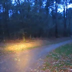76-IMG_4605