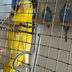 IMG_20170327_073434372