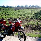 P1010131