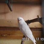 CIMG0007