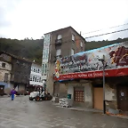DSCN8535