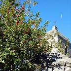 DSCN0365