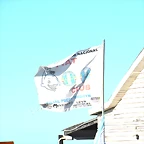 DSC_0362