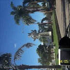 100_5266