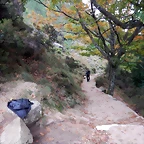 DSCN1902