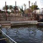 Zoo de Barcelona 07-01-2011 021