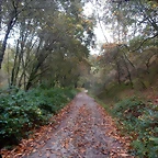 DSCN1134