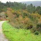 30-IMG_3865