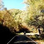DSCN7826